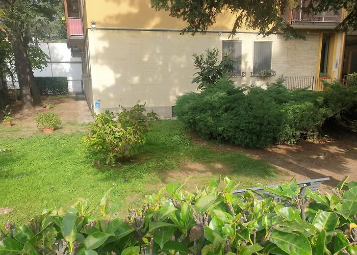 Maffucci 24